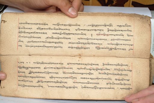 canvas: 1558ae_LTWA_800