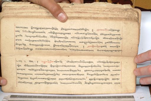 canvas: 1558ei_LTWA_800