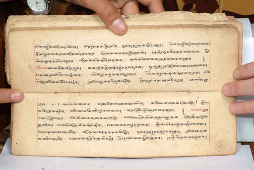 canvas: 1558cr_LTWA_800