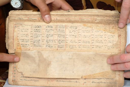 canvas: 1558dm_LTWA_800