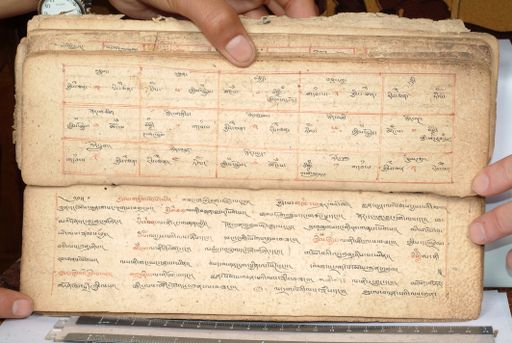 canvas: 1558dv_LTWA_800