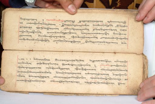 canvas: 1558aq_LTWA_800