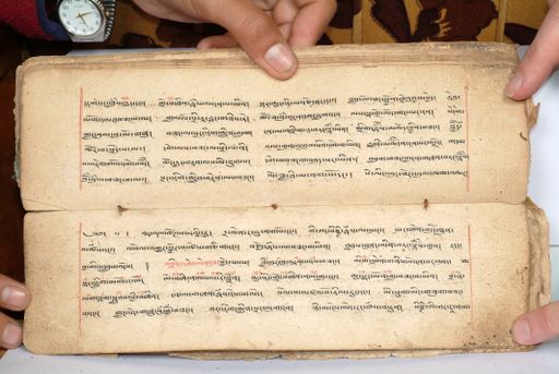 canvas: 1558aw_LTWA_800