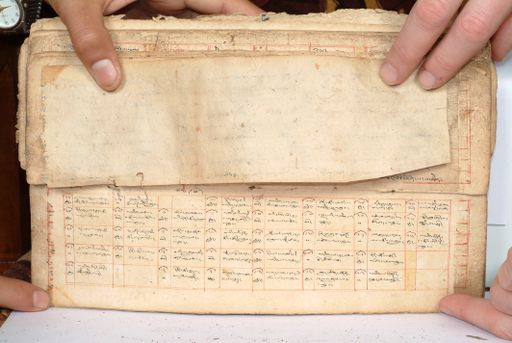 canvas: 1558dp_LTWA_800