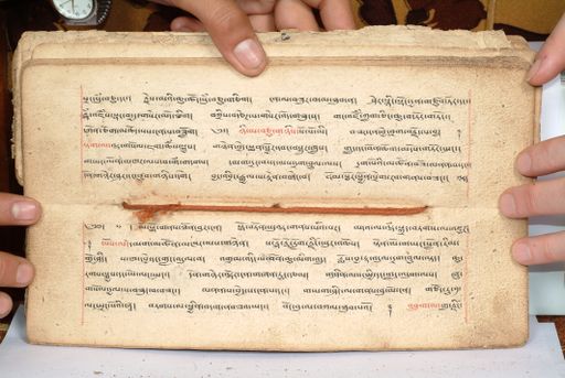 canvas: 1558co_LTWA_800