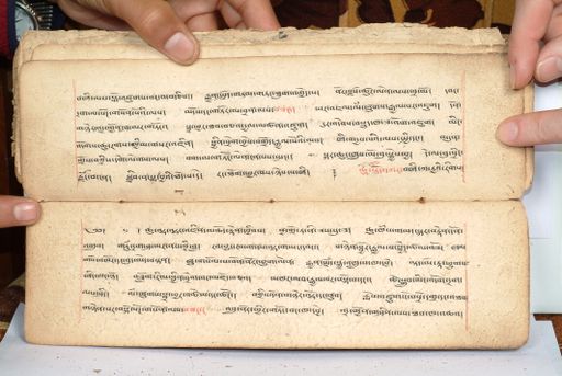 canvas: 1558ch_LTWA_800