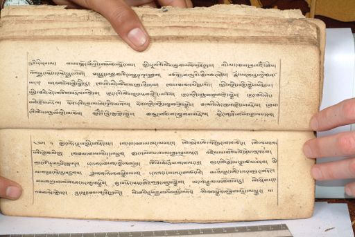 canvas: 1558en_LTWA_800