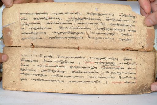 canvas: 1558u_LTWA_800