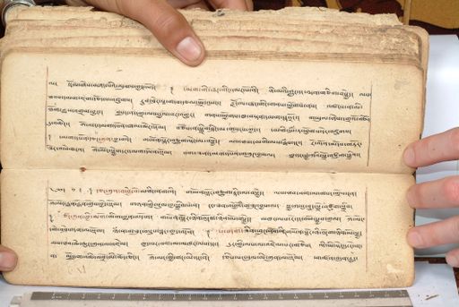 canvas: 1558eh_LTWA_800