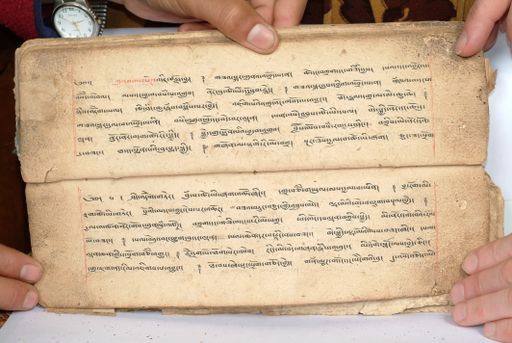 canvas: 1558bc_LTWA_800