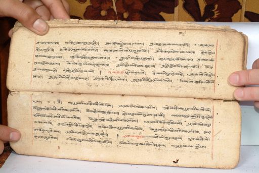 canvas: 1558fn_LTWA_800