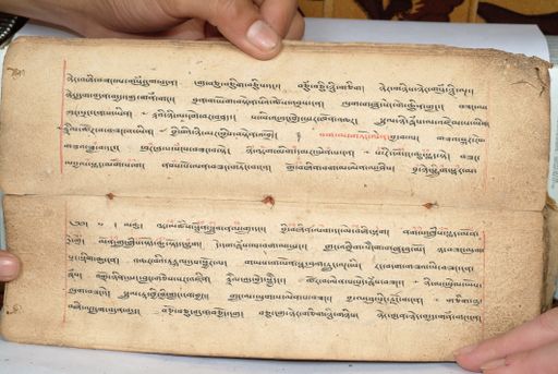 canvas: 1558ac_LTWA_800