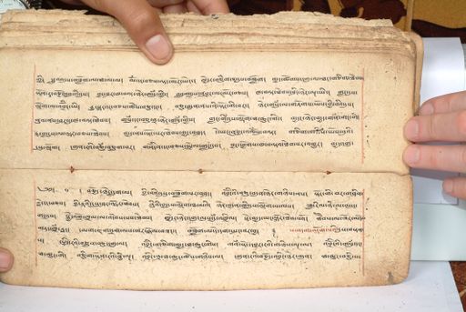 canvas: 1558ey_LTWA_800