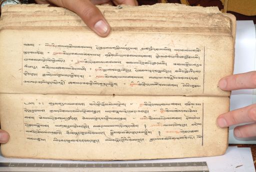 canvas: 1558ek_LTWA_800