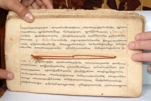 canvas: 1558ff_LTWA_800