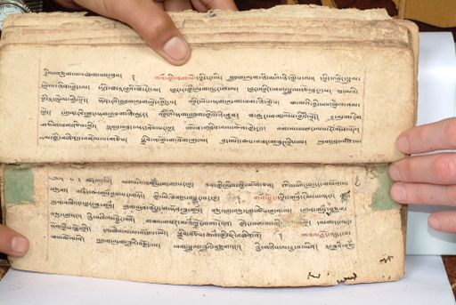 canvas: 1558et_LTWA_800