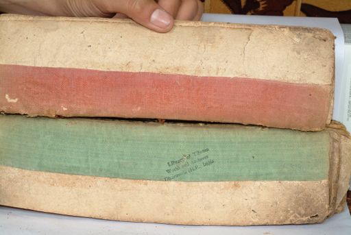 canvas: 1558an_LTWA_800