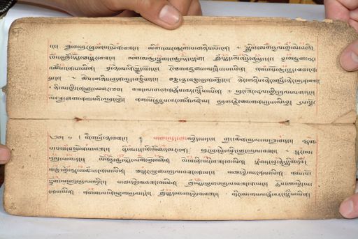 canvas: 1558i_LTWA_800