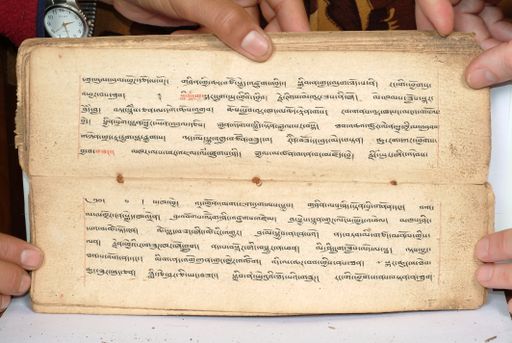 canvas: 1558bs_LTWA_800