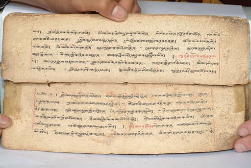 canvas: 1558s_LTWA_800