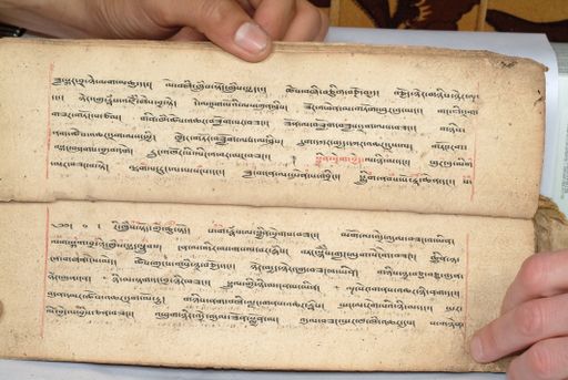 canvas: 1558ai_LTWA_800