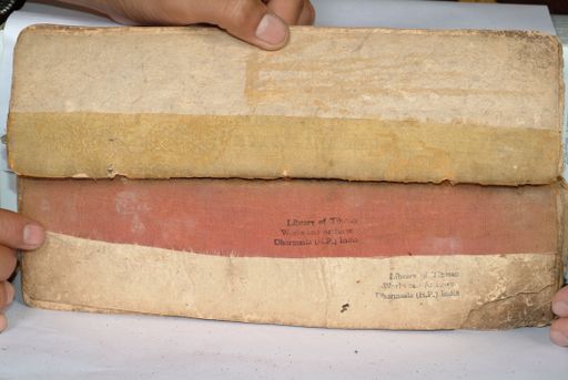 canvas: 1558t_LTWA_800