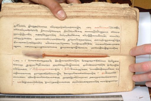 canvas: 1558ej_LTWA_800