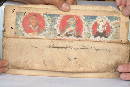 canvas: 1558b_LTWA_800