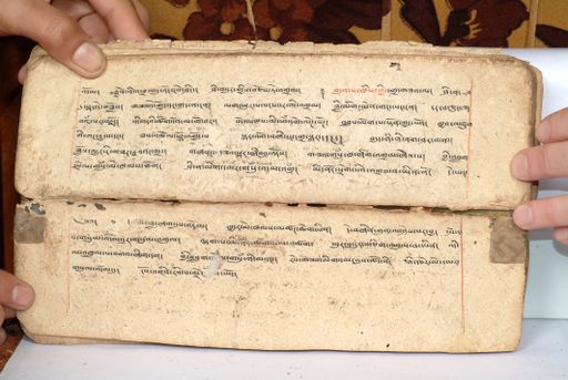 canvas: 1558fo_LTWA_800