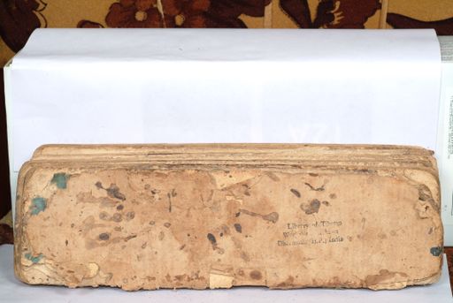 canvas: 1558gh_LTWA_800