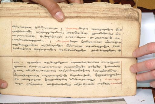 canvas: 1558eo_LTWA_800