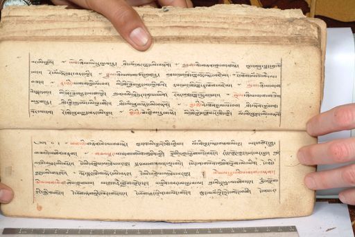 canvas: 1558em_LTWA_800