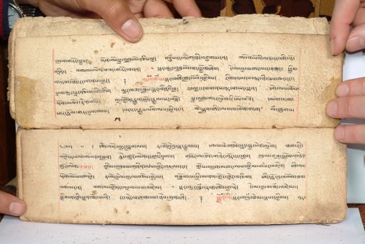 canvas: 1558cf_LTWA_800