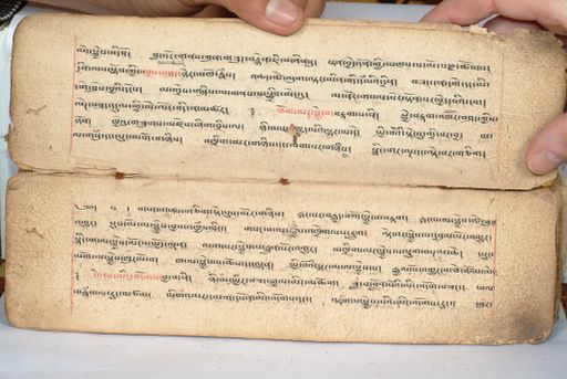 canvas: 1558d_LTWA_800