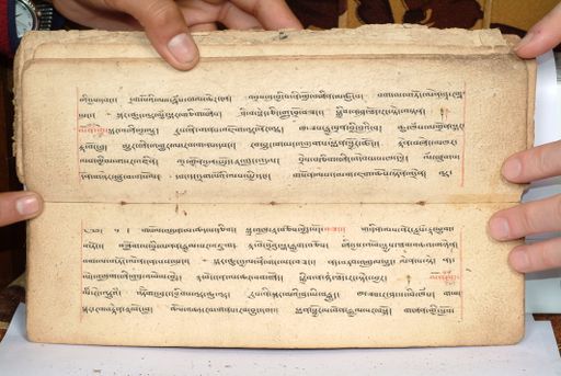 canvas: 1558ck_LTWA_800