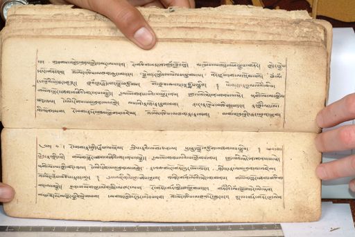 canvas: 1558ee_LTWA_800