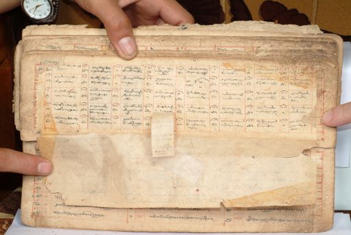 canvas: 1558dn_LTWA_800