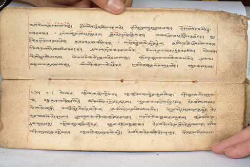 canvas: 1558z_LTWA_800