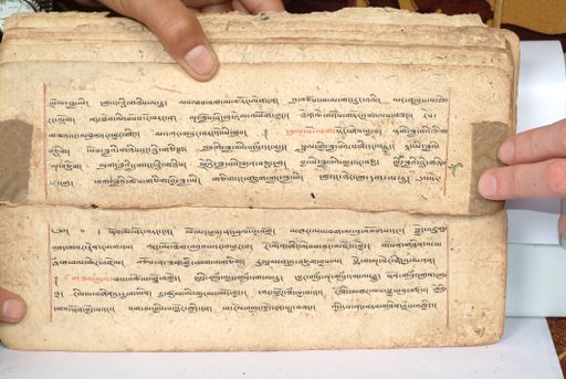 canvas: 1558ev_LTWA_800