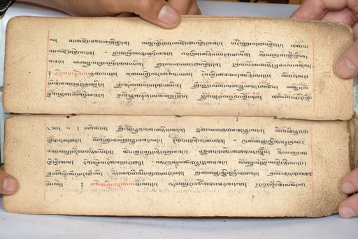 canvas: 1558r_LTWA_800