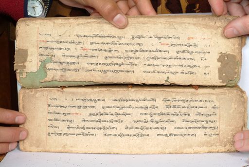 canvas: 1558bk_LTWA_800