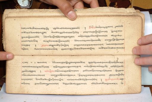 canvas: 1558cs_LTWA_800