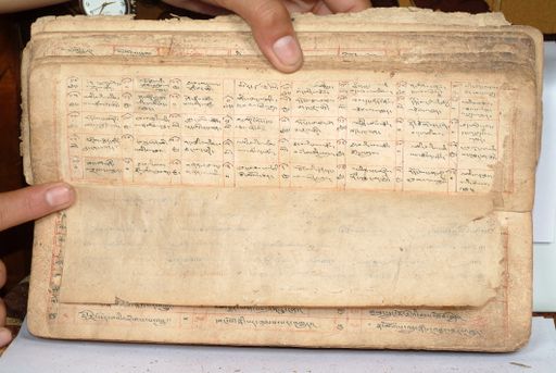 canvas: 1558dj_LTWA_800