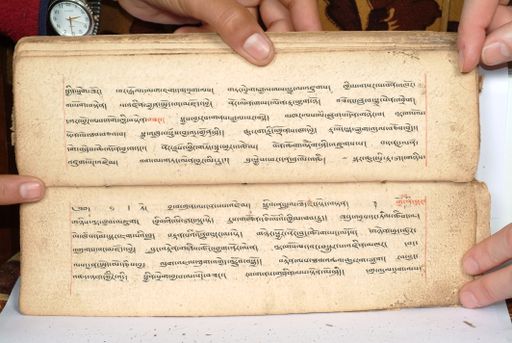 canvas: 1558bz_LTWA_800