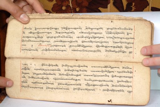 canvas: 1558fm_LTWA_800