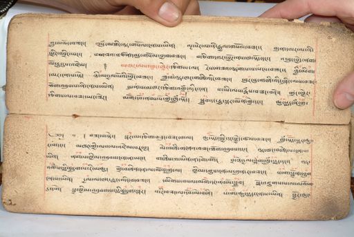 canvas: 1558g_LTWA_800