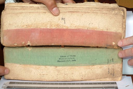 canvas: 1558dz_LTWA_800