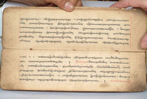 canvas: 1558h_LTWA_800