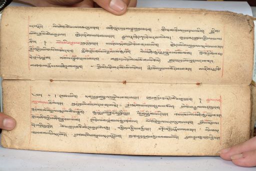 canvas: 1558aa_LTWA_800