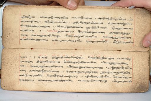 canvas: 1558f_LTWA_800